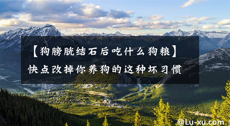 【狗膀胱结石后吃什么狗粮】快点改掉你养狗的这种坏习惯！膀胱结石就是这样形成的！