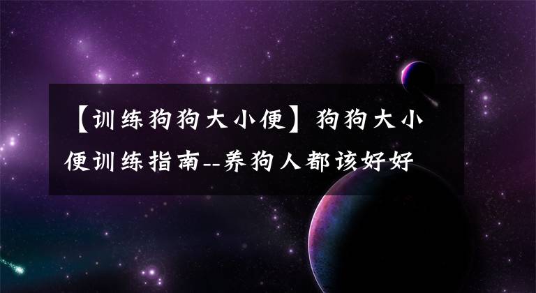 【训练狗狗大小便】狗狗大小便训练指南--养狗人都该好好学学！