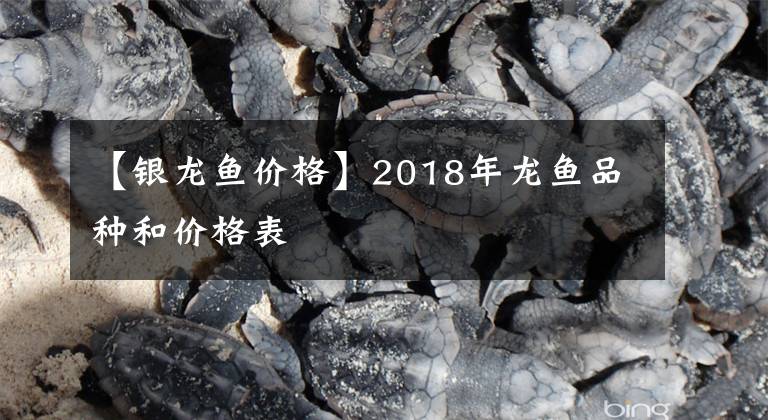 【银龙鱼价格】2018年龙鱼品种和价格表