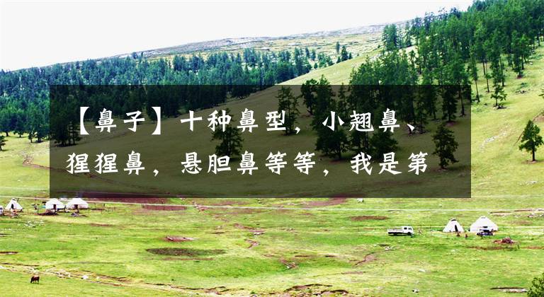【鼻子】十种鼻型，小翘鼻、猩猩鼻，悬胆鼻等等，我是第三种，你是哪种？