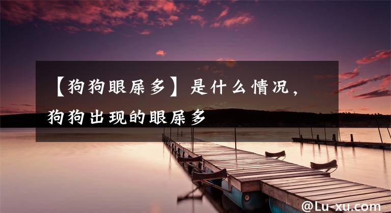 【狗狗眼屎多】是什么情况，狗狗出现的眼屎多