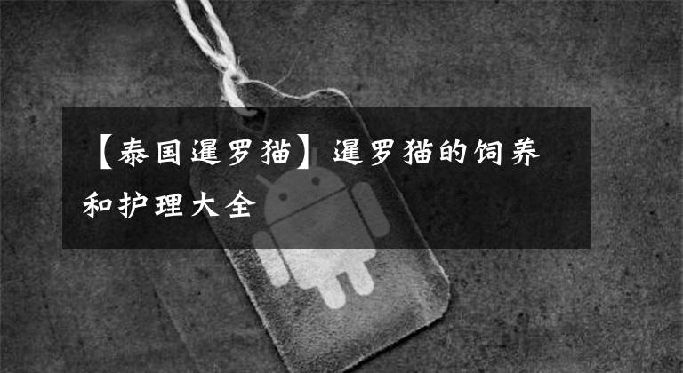 【泰国暹罗猫】暹罗猫的饲养和护理大全