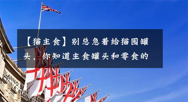 【猫主食】别总急着给猫囤罐头，你知道主食罐头和零食的罐头的区别吗？