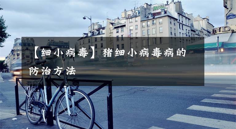 【细小病毒】猪细小病毒病的防治方法