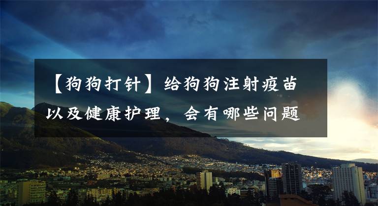 【狗狗打针】给狗狗注射疫苗以及健康护理，会有哪些问题以及解决方法