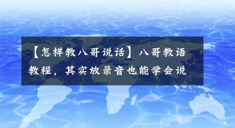 【怎样教八哥说话】八哥教语教程，其实放录音也能学会说话，大师教你如何做