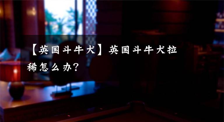 【英国斗牛犬】英国斗牛犬拉稀怎么办？