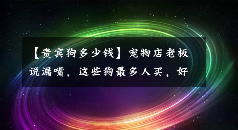 【贵宾狗多少钱】宠物店老板说漏嘴，这些狗最多人买，好养又不贵