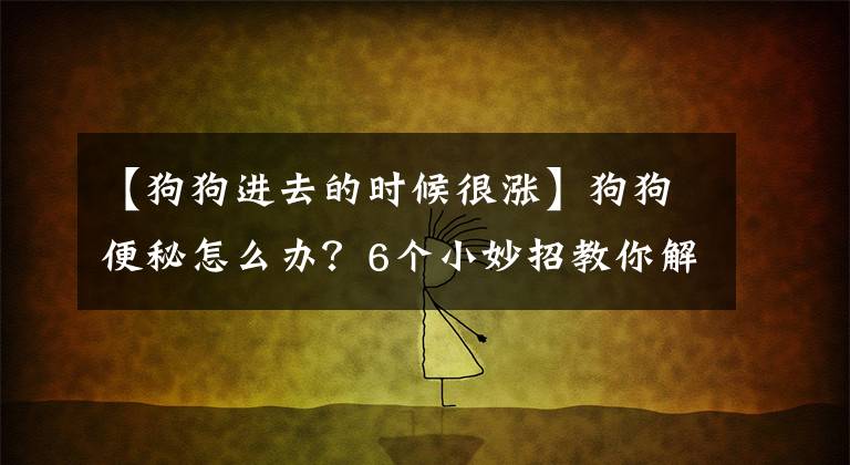 【狗狗进去的时候很涨】狗狗便秘怎么办？6个小妙招教你解决