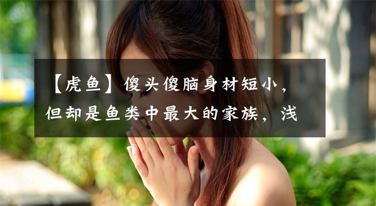 【虎鱼】傻头傻脑身材短小，但却是鱼类中最大的家族，浅谈如何垂钓鰕虎鱼
