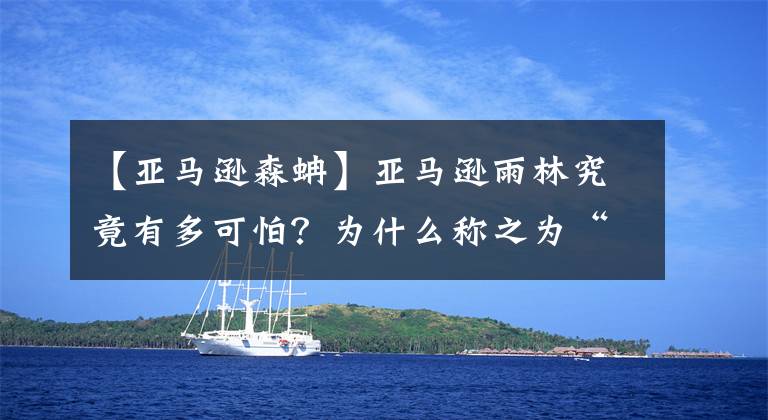 【亚马逊森蚺】亚马逊雨林究竟有多可怕？为什么称之为“人类禁区”？
