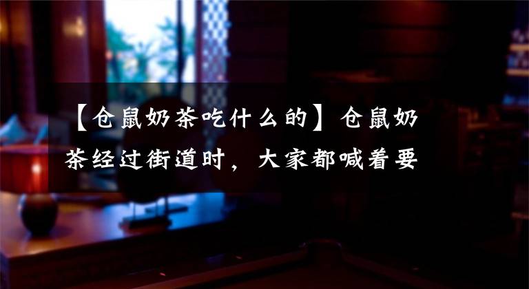 【仓鼠奶茶吃什么的】仓鼠奶茶经过街道时，大家都喊着要买