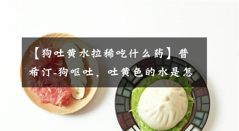 【狗吐黄水拉稀吃什么药】普希汀-狗呕吐，吐黄色的水是怎么回事？