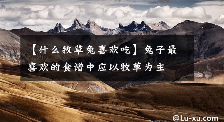 【什么牧草兔喜欢吃】兔子最喜欢的食谱中应以牧草为主
