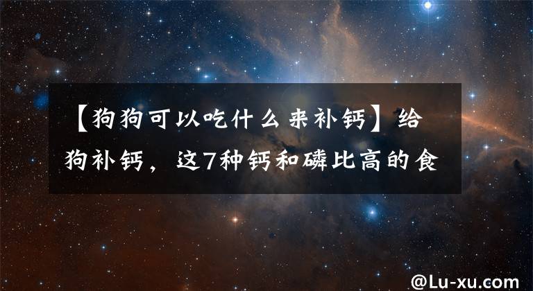 【狗狗可以吃什么来补钙】给狗补钙，这7种钙和磷比高的食物更好，都是常见的食物