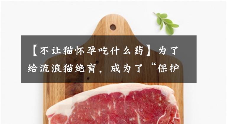 【不让猫怀孕吃什么药】为了给流浪猫绝育，成为了“保护民间猫”的新风气，但专家提醒说，其有效性是有争议的。