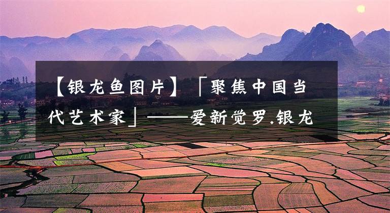 【银龙鱼图片】「聚焦中国当代艺术家」——爱新觉罗.银龙