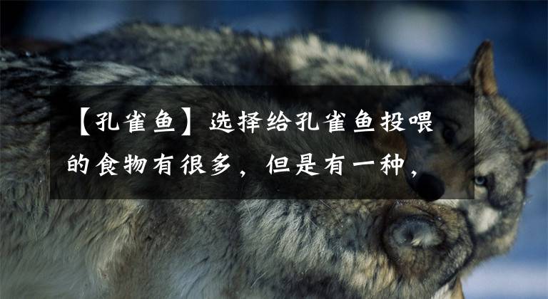 【孔雀鱼】选择给孔雀鱼投喂的食物有很多，但是有一种，不适合投喂鱼苗
