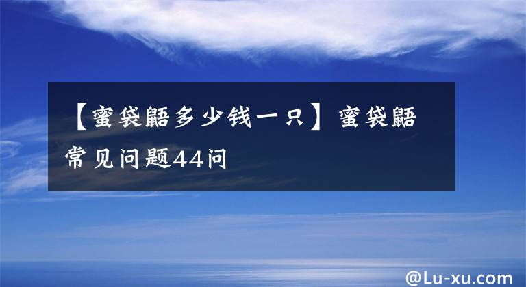 【蜜袋鼯多少钱一只】蜜袋鼯常见问题44问