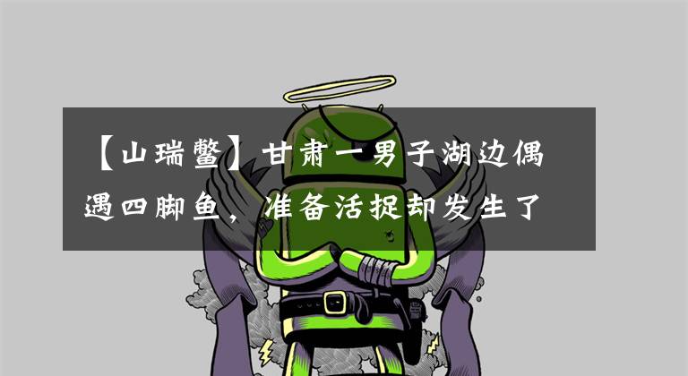 【山瑞鳖】甘肃一男子湖边偶遇四脚鱼，准备活捉却发生了意外，网友：真可惜