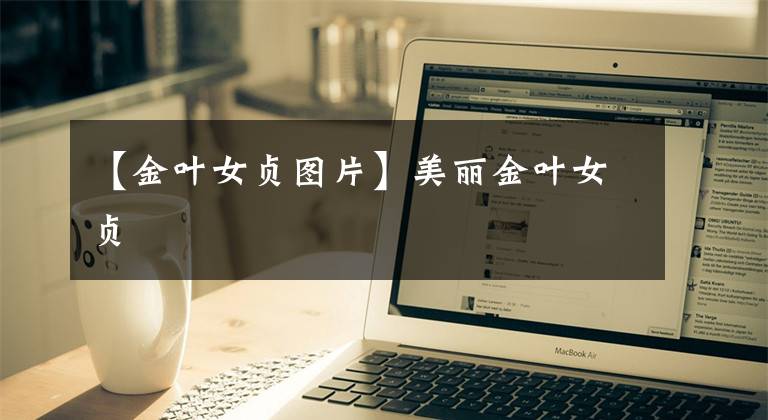 【金叶女贞图片】美丽金叶女贞