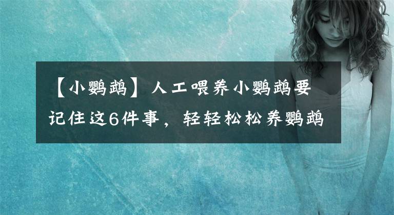 【小鹦鹉】人工喂养小鹦鹉要记住这6件事，轻轻松松养鹦鹉