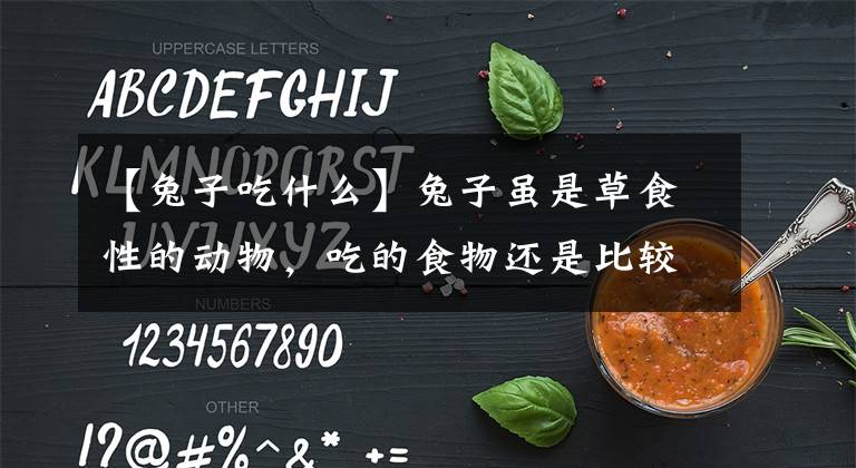 【兔子吃什么】兔子虽是草食性的动物，吃的食物还是比较杂的，兔子能吃玉米吗