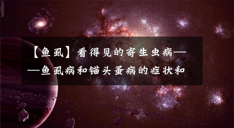 【鱼虱】看得见的寄生虫病——鱼虱病和锚头蚤病的症状和治疗方法