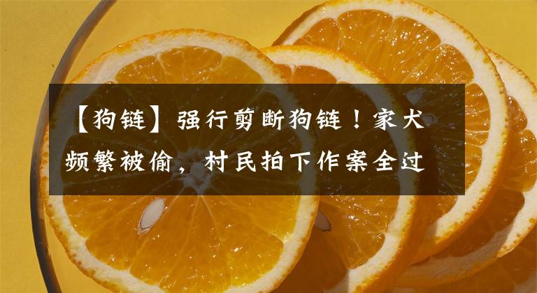 【狗链】强行剪断狗链！家犬频繁被偷，村民拍下作案全过程