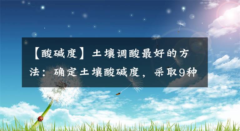 【酸碱度】土壤调酸最好的方法：确定土壤酸碱度，采取9种方法进行改良