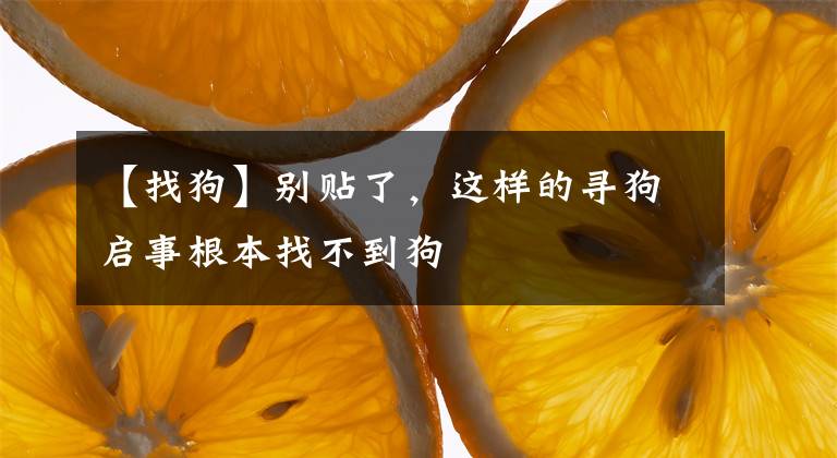 【找狗】别贴了，这样的寻狗启事根本找不到狗