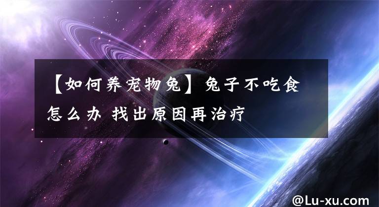 【如何养宠物兔】兔子不吃食怎么办 找出原因再治疗