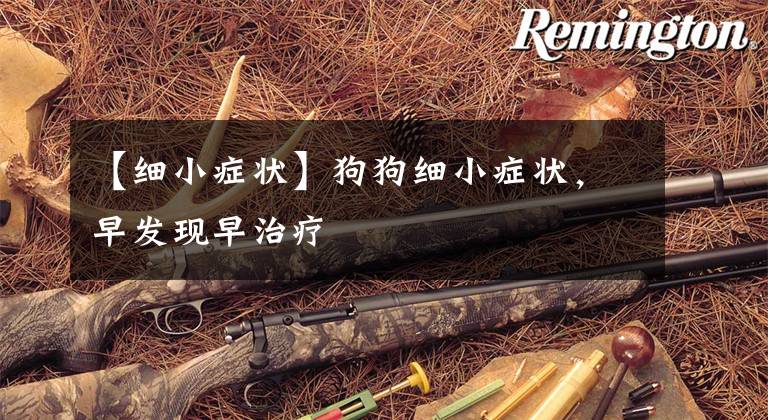 【细小症状】狗狗细小症状，早发现早治疗
