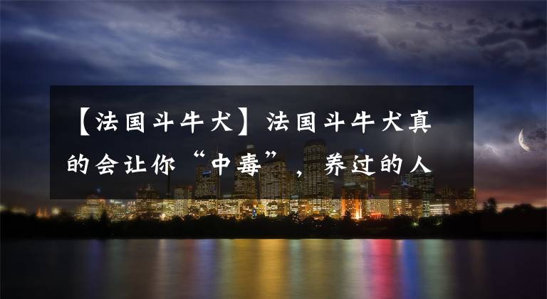 【法国斗牛犬】法国斗牛犬真的会让你“中毒”，养过的人都不敢再养了