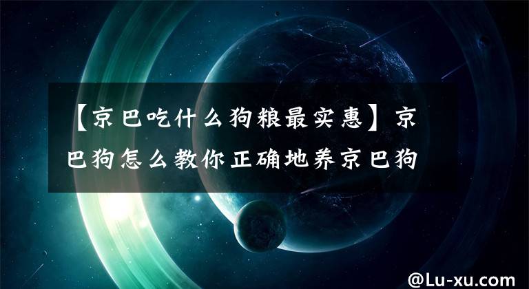 【京巴吃什么狗粮最实惠】京巴狗怎么教你正确地养京巴狗？