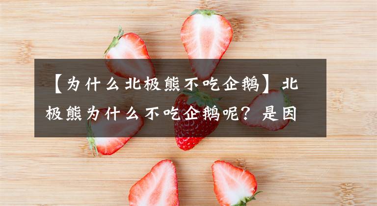 【为什么北极熊不吃企鹅】北极熊为什么不吃企鹅呢？是因为吃不到吗？这个答案可能令你意外