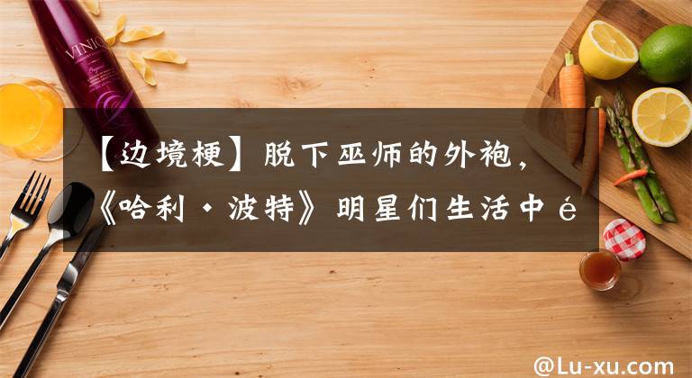 【边境梗】脱下巫师的外袍，《哈利·波特》明星们生活中都养的什么宠物呢？