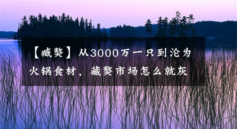 【臧獒】从3000万一只到沦为火锅食材，藏獒市场怎么就灰飞烟灭了？