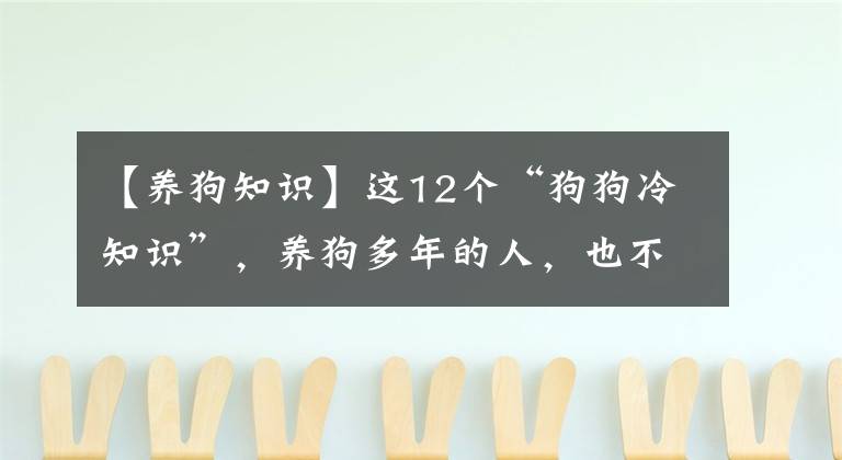 【养狗知识】这12个“狗狗冷知识”，养狗多年的人，也不一定懂
