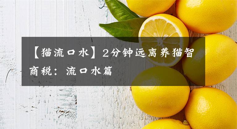【猫流口水】2分钟远离养猫智商税：流口水篇