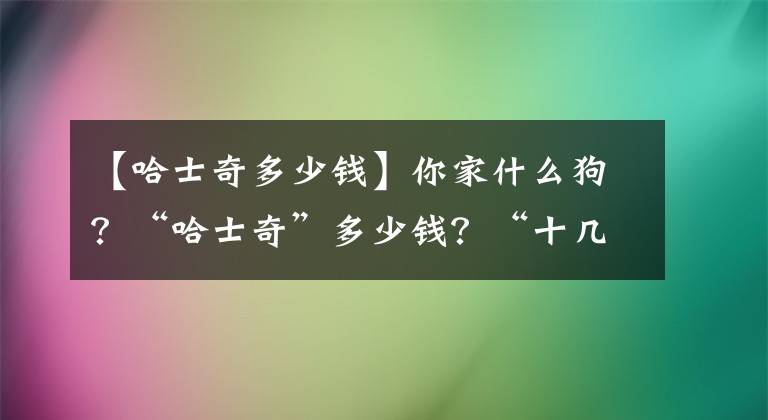 【哈士奇多少钱】你家什么狗？“哈士奇”多少钱？“十几万”