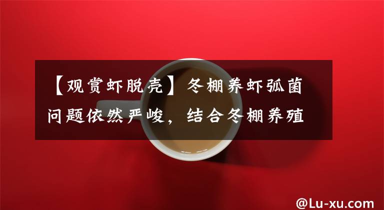 【观赏虾脱壳】冬棚养虾弧菌问题依然严峻，结合冬棚养殖特点，如何做好防控？