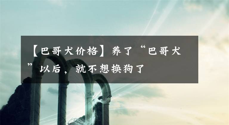 【巴哥犬价格】养了“巴哥犬”以后，就不想换狗了