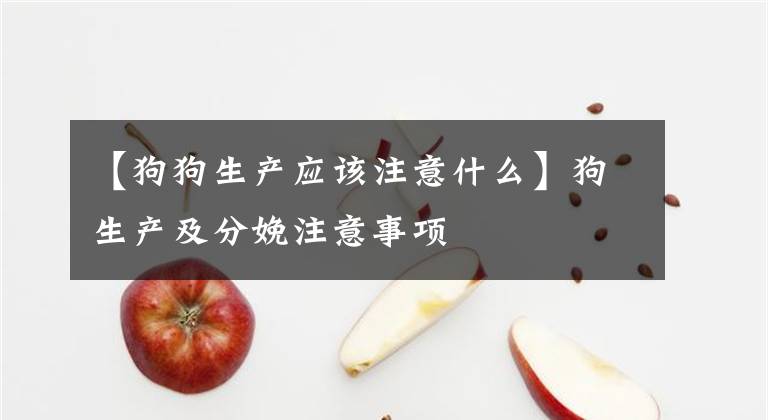 【狗狗生产应该注意什么】狗生产及分娩注意事项