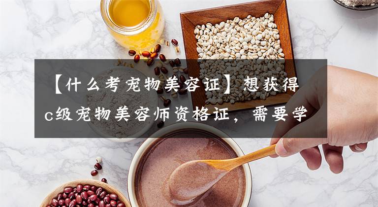 【什么考宠物美容证】想获得c级宠物美容师资格证，需要学习哪些内容？