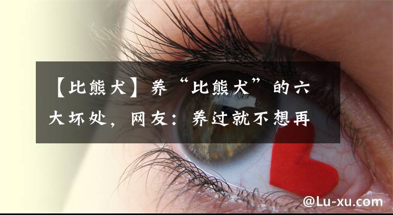 【比熊犬】养“比熊犬”的六大坏处，网友：养过就不想再养了