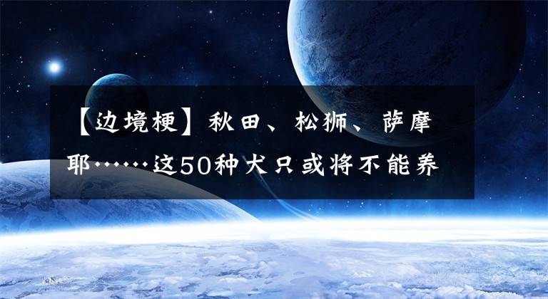 【边境梗】秋田、松狮、萨摩耶……这50种犬只或将不能养！看看有没有你家狗狗？