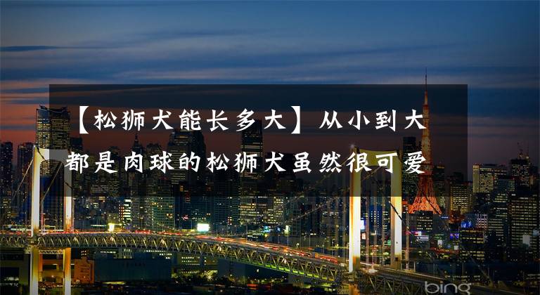 【松狮犬能长多大】从小到大都是肉球的松狮犬虽然很可爱，可越长越残是什么鬼？