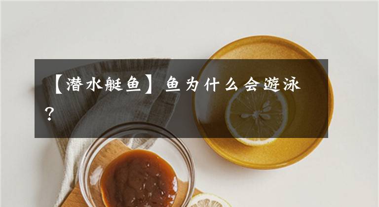 【潜水艇鱼】鱼为什么会游泳？
