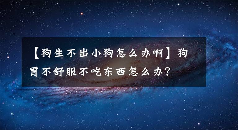 【狗生不出小狗怎么办啊】狗胃不舒服不吃东西怎么办？